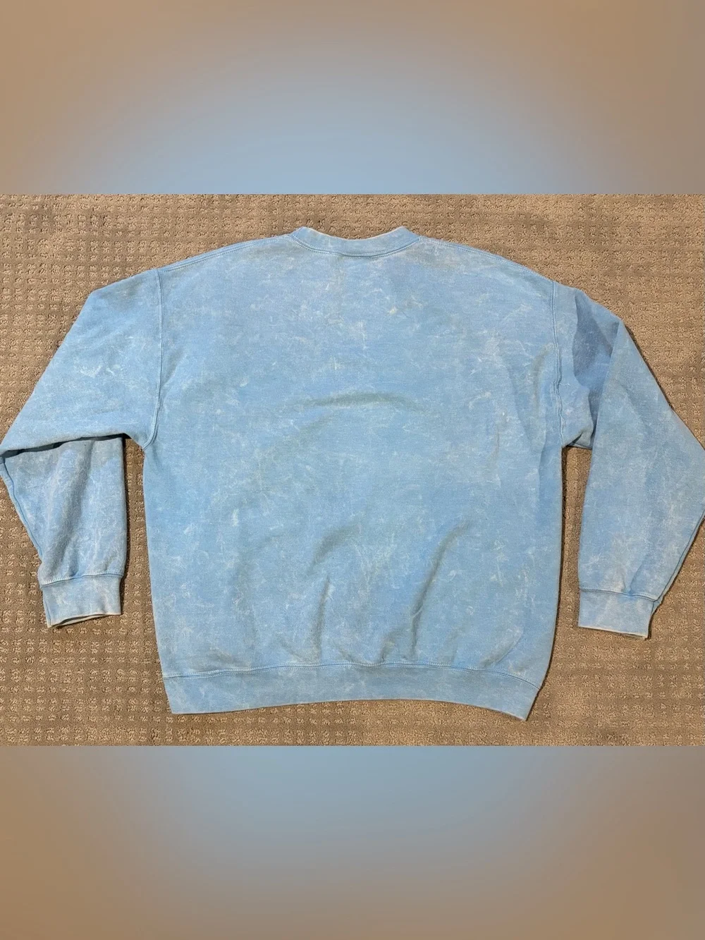 Disney parks sweatshirt